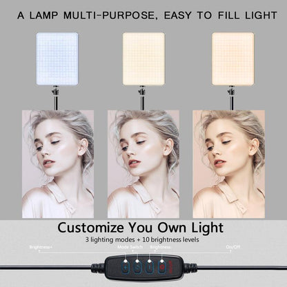 LED Video Light, Adjustable Brightness Shooting Fill Light with Tripod Stand, USB Powered Fill Light for Video Recording Live Streaming Make up Vlogging